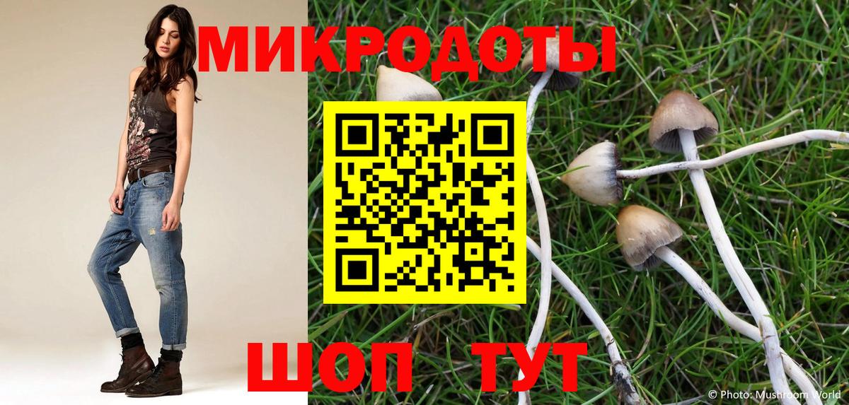 Галлюциногенные грибы Psilocybine cubensis Белогорск